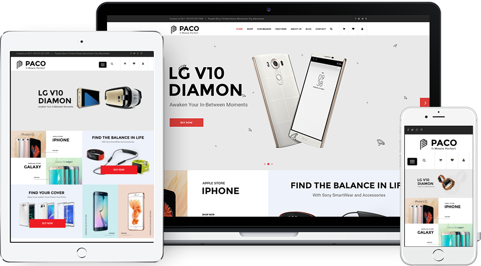 SW Paco - Premium Responsive WordPress Theme