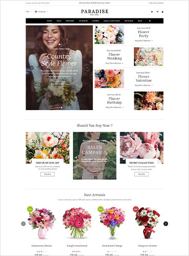 Layout